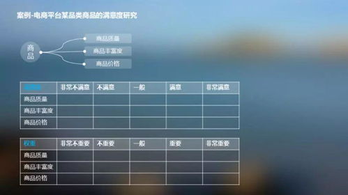 产品 系统 功能 服务的 万能温度计 用户满意度