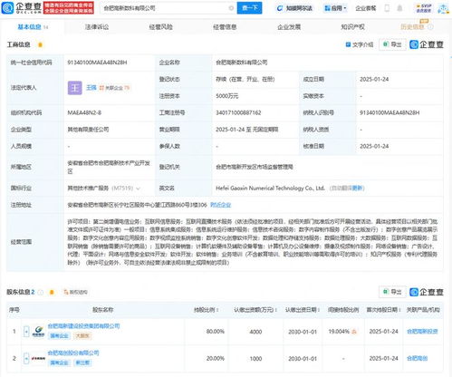 合肥高新数科公司登记成立,含信息系统集成服务业务