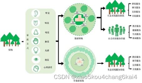 基于当量因子法 invest solves模型等多技术融合在生态系统服务功能社会价值评估中的应用