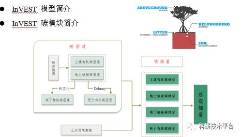 当量因子法 invest solves模型等多技术融合在生态系统服务功能社会价值评估中的应用及论文写作 拓展分析